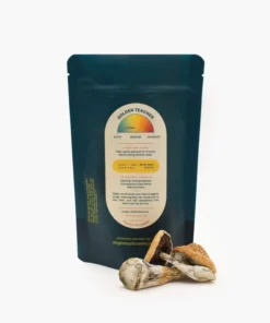 Buy Golden Teacher Mushrooms