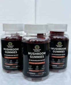 Mushroom Gummies – 10 Blend (60 count)